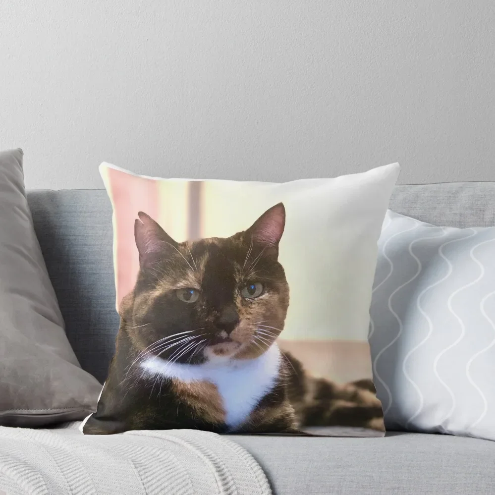 Freckle Puss Throw Pillow luxury home accessories Custom Cushion Photo Marble Cushion Cover Couch Cushions Pillow