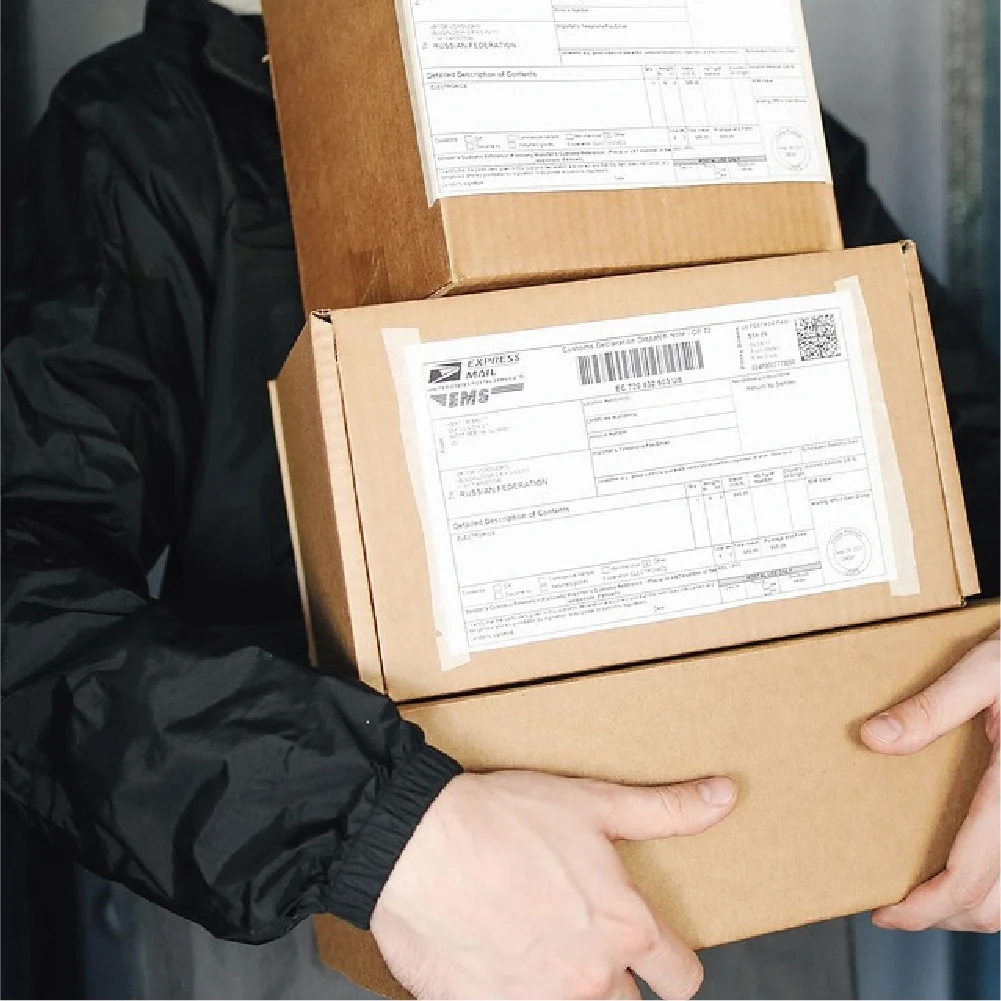 Servizio di qualità avanzato, ottieni campioni aggiuntivi, collegamenti esclusivi, personalizzazione di alta qualità, Fedex Ups, Tnt