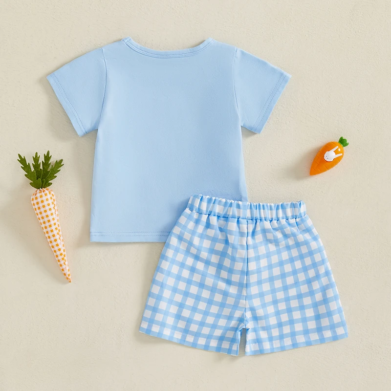 2024-12-04 Lioraitiin Toddler Baby Girl 2Pcs Easter Outfits Short Sleeve Tops And Plaid Shorts Set Spring Clothes