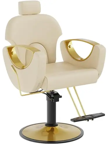 Barber Chair, Salon Chair for Hair Stylist, Height Adjustable Hydraulic Hair Reclining Salon Chairs, 360 Degrees