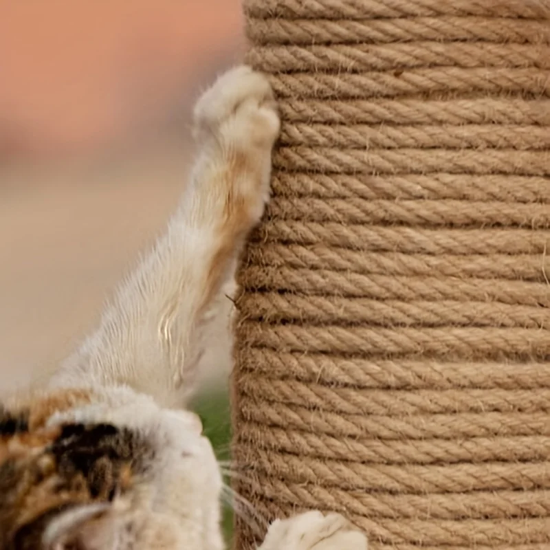 1pc-10mNatural Sisal Seil Katze Scratcher Seil Baum Kratzen DIY Spielzeug Pfote Klaue Möbel Schutz Kratzen post Katze Zubehör