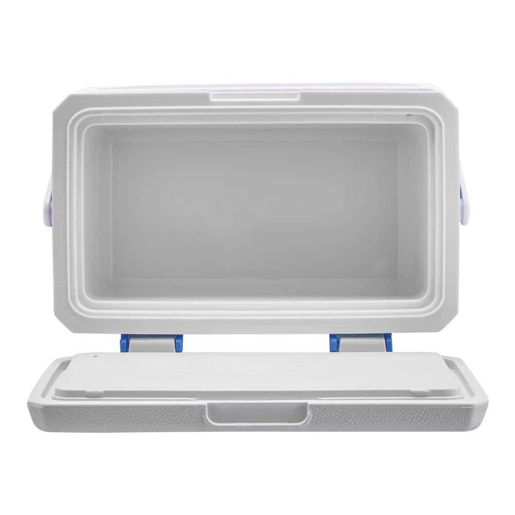 

3L Insulated Portable Cooler with Handle Camping Car Refrigerator Heat Preservation Barbecue Insulation Box for Beach Picnic