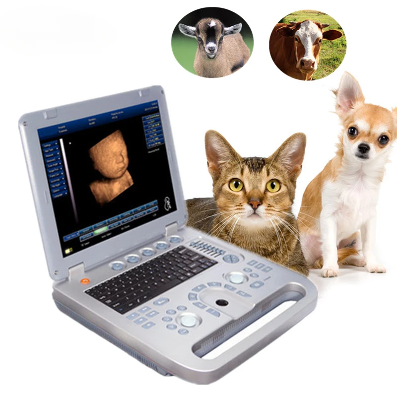 Best sale cow pregnancy veterinary ultrasound machine