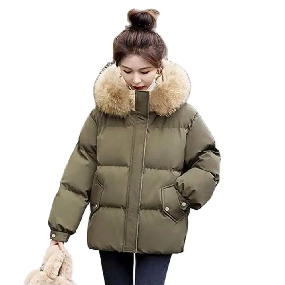 Winter Eiderdown Cotton-padded Clothes Female 2024 Explosions Cotton-padded Jacket Fashion Embroidery Loose Warm Hooded Coat.