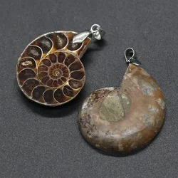 1pc Natural Stone Ammonoid Pendants Retro Charms SSnail Shape Pendants for DIY Jewelry Making Necklace Bracelet Accessories