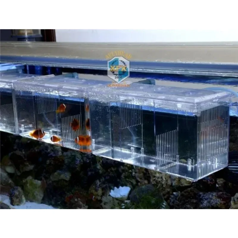 Suspend aquarium arcylic guppy baby small fish Separation Breeding Sick Box Fish Air Promote
