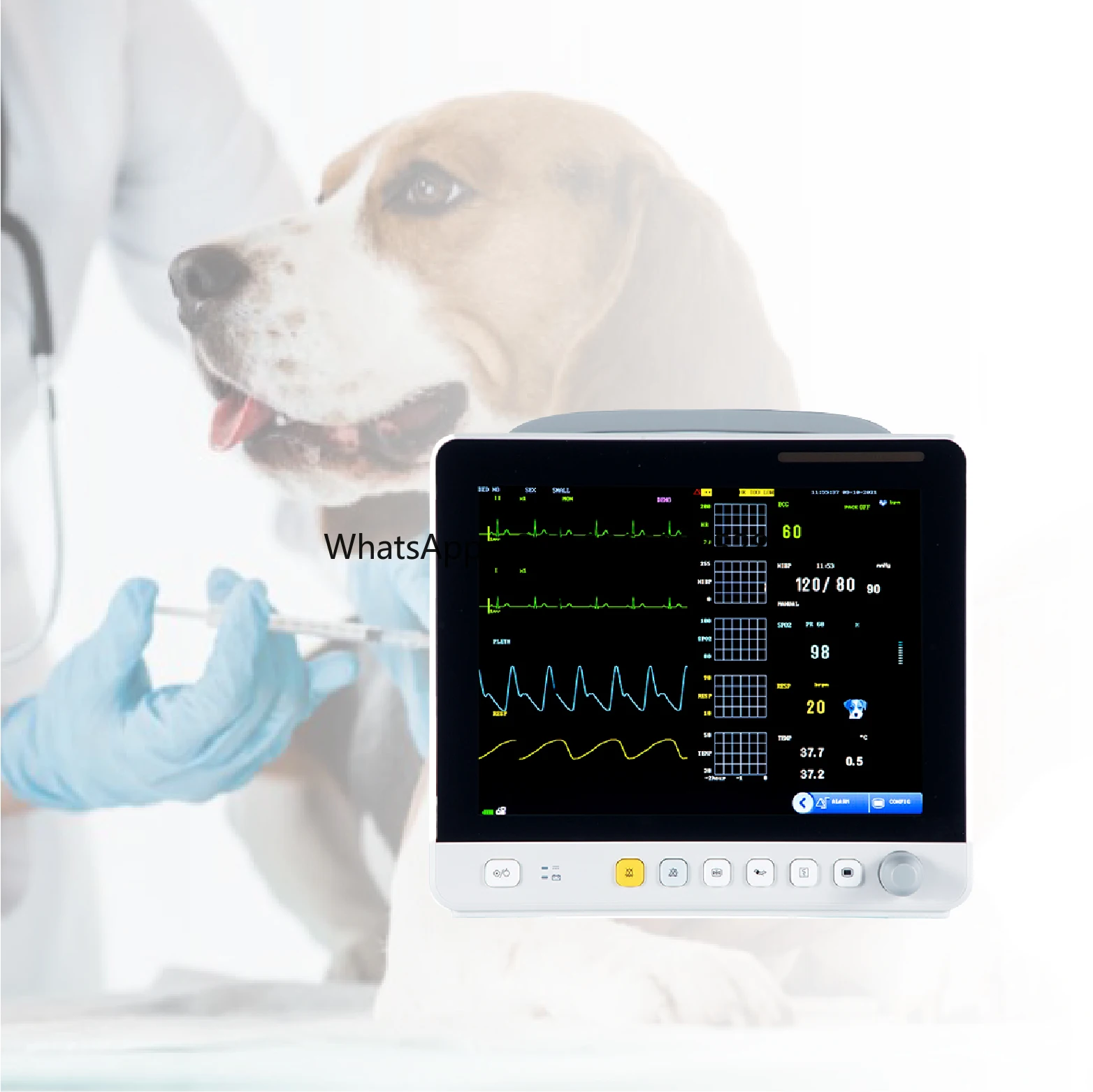 4K Veterinary Vet ICU Surgical Vital Signs Multi Parameter Medical Monitor