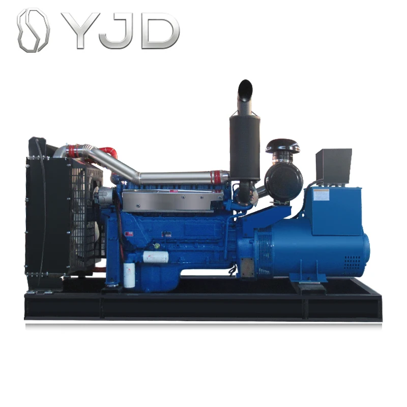 Open 250kw Diesel Engine Permanent Magnet Generator 50/60Hz Low RPM Alternator Dynamo for Sale Controller for Generating