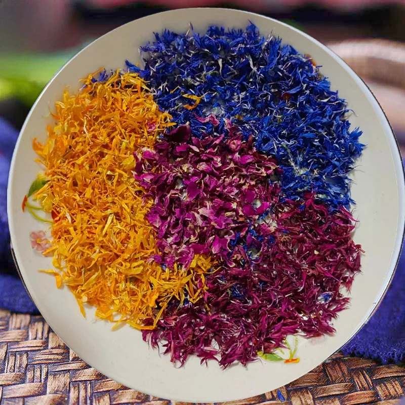 زهرة الأقحوان المزدوجة اللون مصنوعة يدويًا، بتلات بنفسجية مختلطة، زهرة زينة عطرية للديكور المنزلي، غير صالحة للأكل، زهرة مجففة