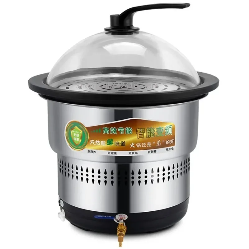 220V Portable Mini Electric Cooking Pot, Multifunctional Desktop Electric Cooker – For Steaming & Hot Pot