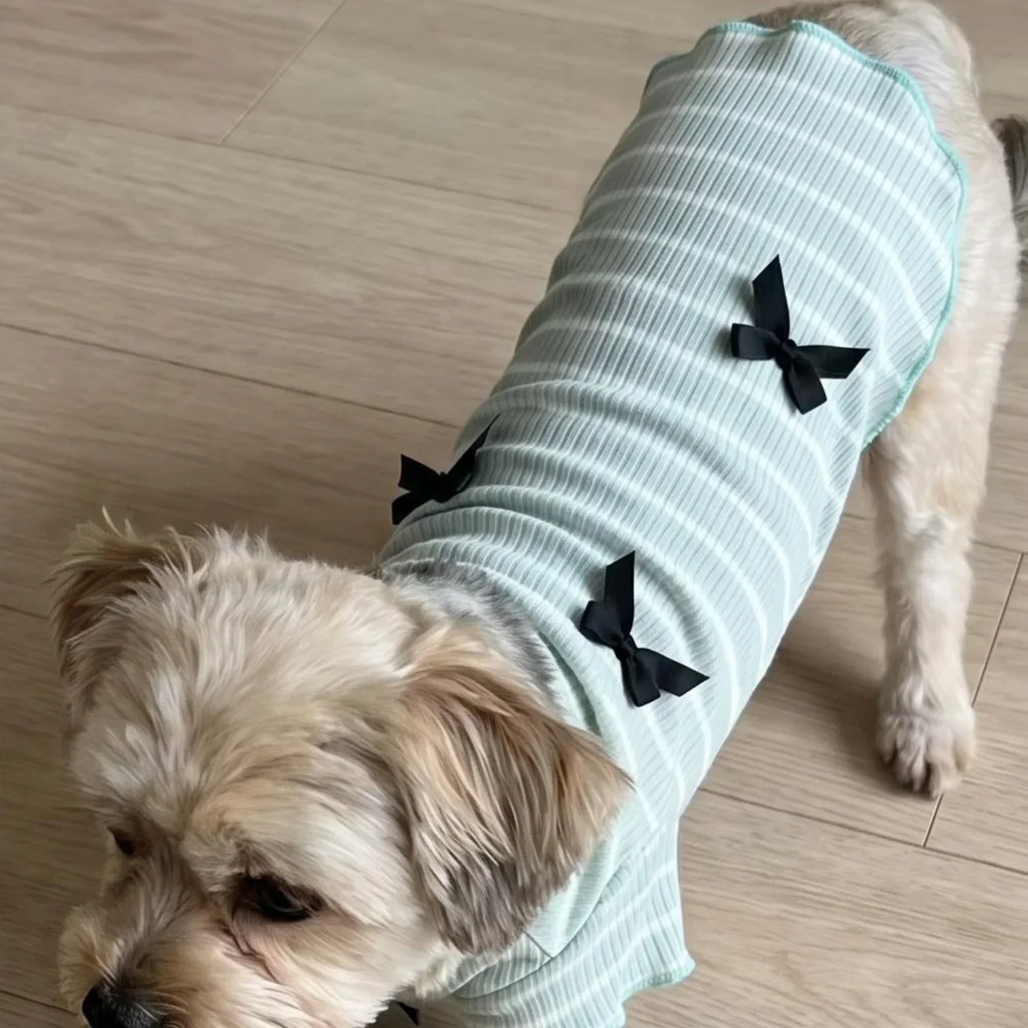 1 Stück Niedliches Hundeshirt mit Schleifendekoration, Gestreift, Weich, Dehnbar, Gerippt, Katzen-T-Shirt, Frühling Sommer Atmungsaktive Haustierkleidung – Detail 26