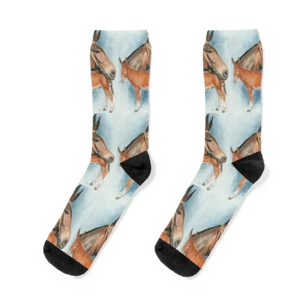 

Mule Socks bright garter hiphop Heating sock Rugby Socks Girl Men's funny gift luxury Rugby designer Male Socks Women's