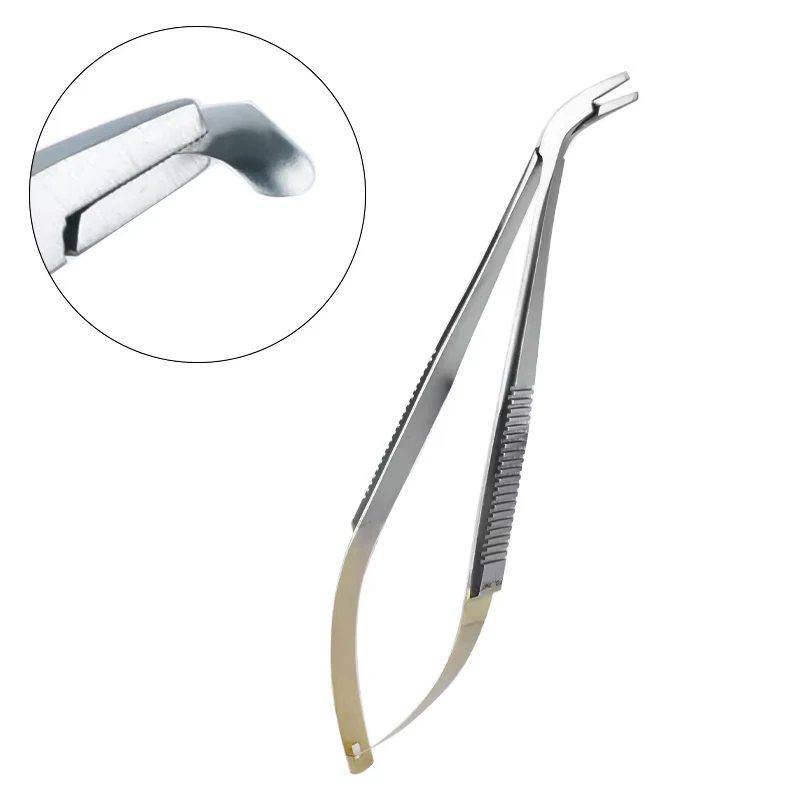 

Dental Matrix Holder Clamp Stainless Steel for Molar Teeth Restoration - Easy to Place & Remove Dentist Dental Tool