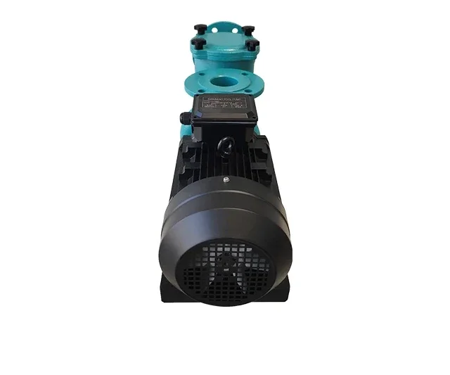 Manufacturer's High Efficiency Long-Life Metal CCBP Water Pump  Pool Pumps with High Water Pressure