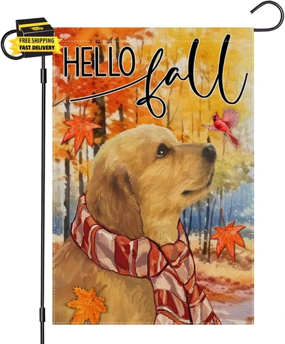 Hello Fall Garden Flags 12X18 Inch Double Sided, Golden Retriever with Maple Lea JJE DDI GGX