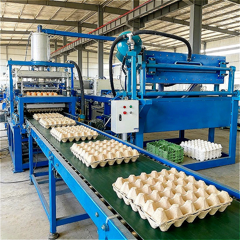 Efficient Rotary Egg Tray Making Machine Continuous Operation System for Paper Pulp Molded Trays Customized Design Cheap Price