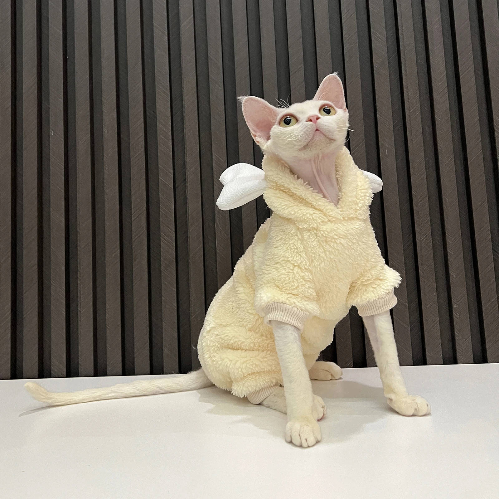 Cat Clothing Soft Winter Sweater for Sphynx Cat Warm Plush Loungewear for Kittens Cute Long Sleeves Coat Hat Suit for Devon Rex