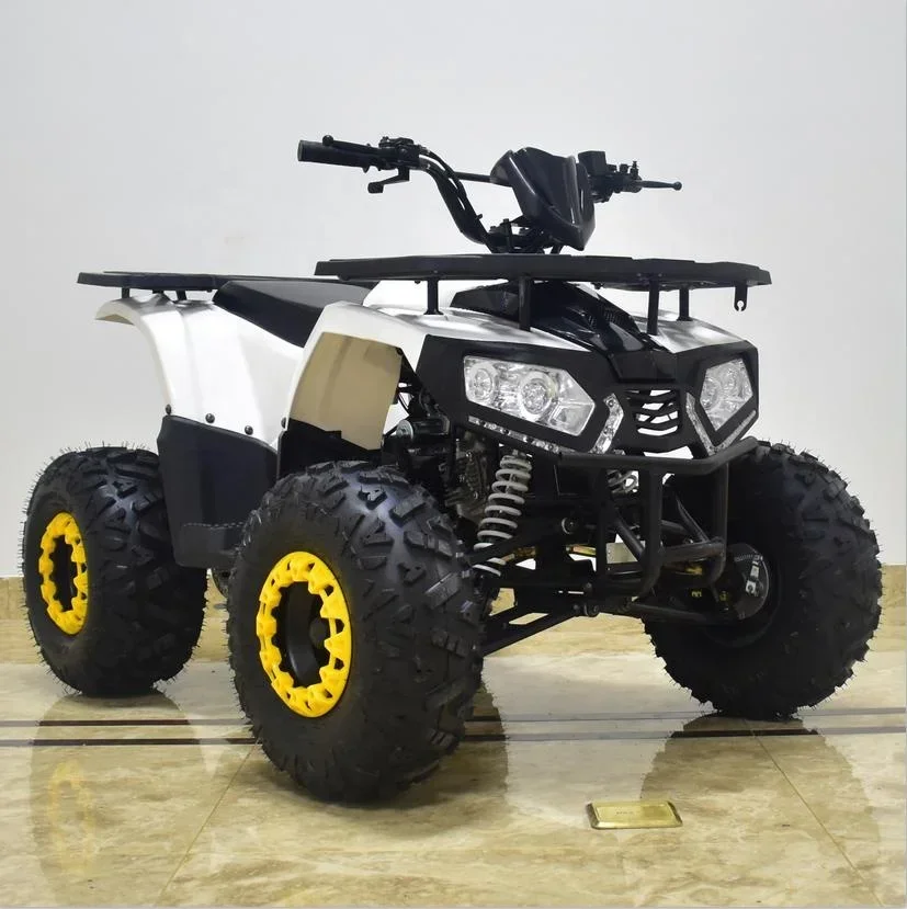 4-Stroke Snow Off-Road Vehicle Electric Car Customizable Items Children's Off-Road Vehicle China Snowmobile Product