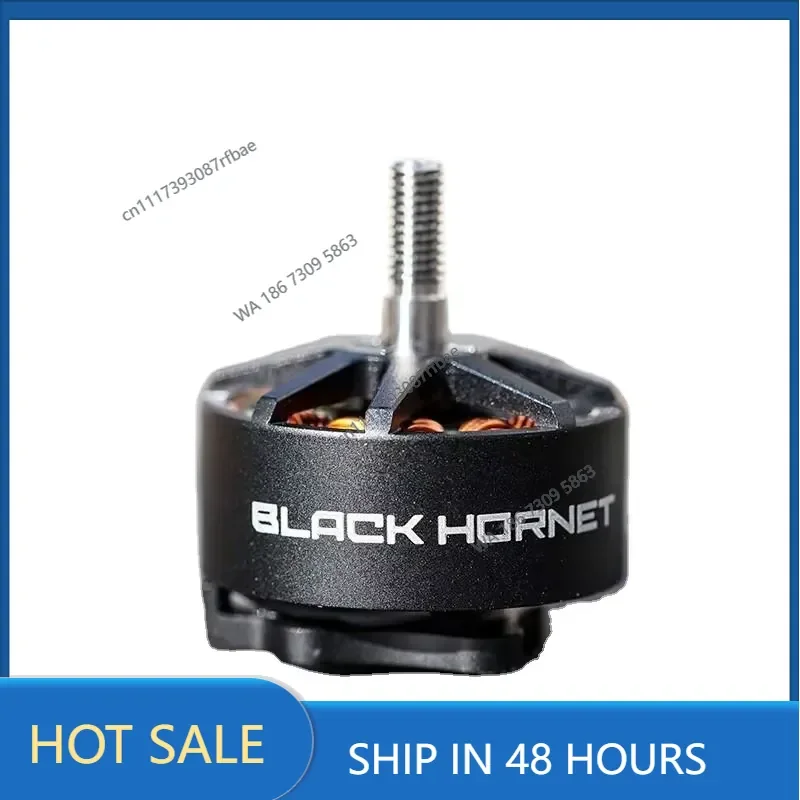 Black Hornet 2812 900KV 789inch Propeller Brushless Motor High Efficiency RC Freestyle FPV Racing Quadcopter