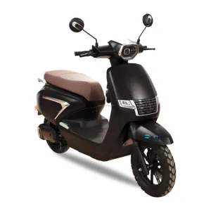 SINSKI-SCOOTER Hochgeschwindige Elektrik mit Scheibenbremse, 1000 W, 1500W, 2000W, CKD 12 Hauptverkaufsmota Scooter Electric - №7
