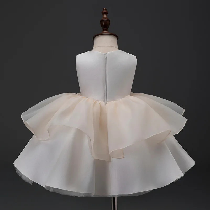 Robe de premier anniversaire pour bébé fille, 2025 ans, robe de mariée à fleurs AliExpress, jupe bouffante, Prince d'anniversaire pour enfants