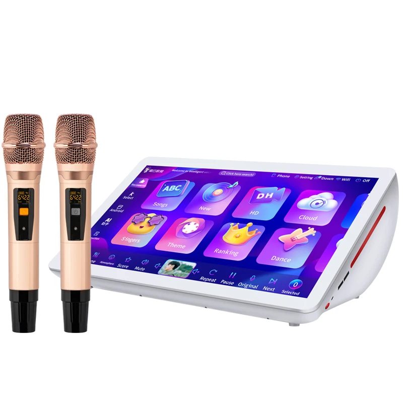 3 In 1 Home Wedding Party Karaoke System With 19.5 Inch 500g Android Player KTV Karaoke Machine For Parties