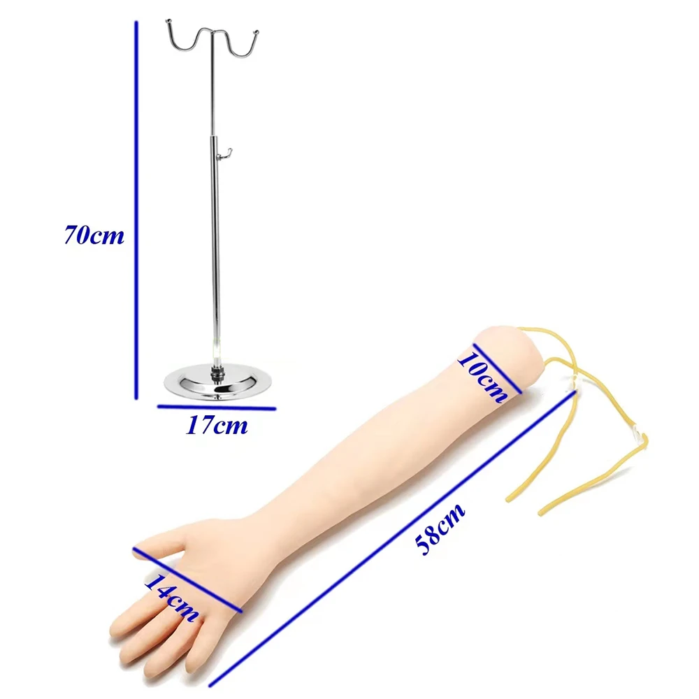 Life Size Anatomical Phlebotomy Venipuncture Practice Arm Anatomy Injection Practice Simulator Nurse Training Kit