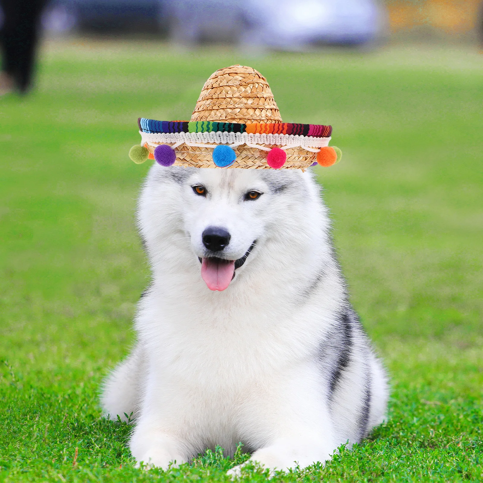 

2Pcs Mini Mexican Straw Sombrero Party Hats Small Dog Cat Holiday Pet Costume Accessories Sombrero Costume Pets Headdress