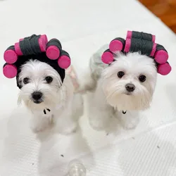 Hairdressing Curlers Hats Hair Rollers Fake Bangs Baby Curler Hat Photography Props For Little Dogs Cats