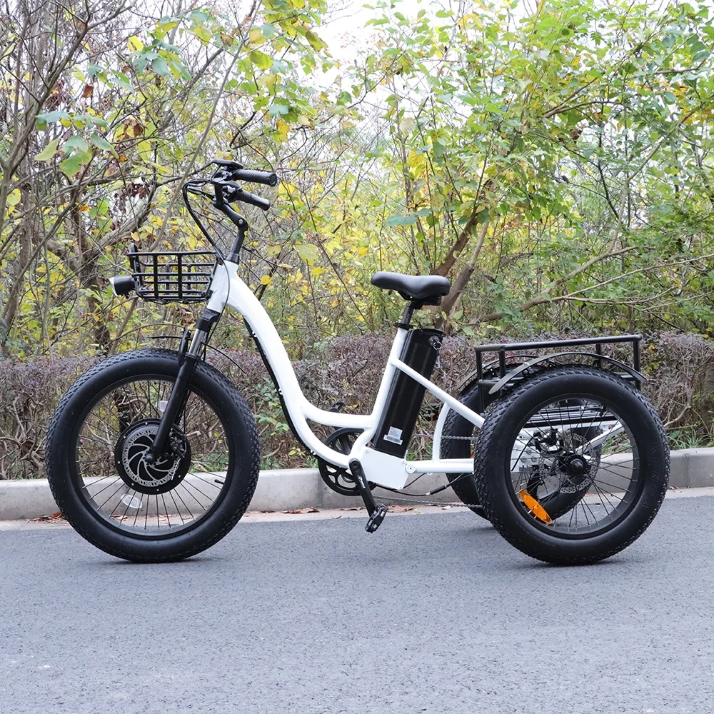 China Factory New Design Direct Sale Electric Tricycles 500W 48V 15Ah Family Multi-Mode 3 Wheel Electric Tricycle