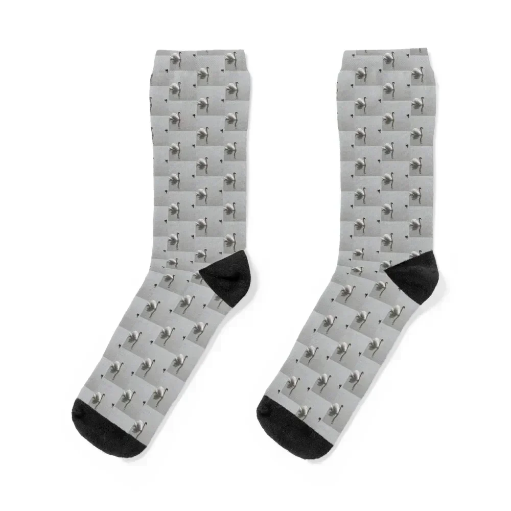 Swan Baby Children Socks christmas stocking hip hop kids Men's Socks Luxury Women's