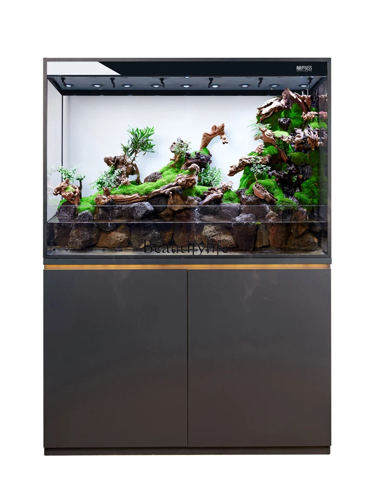 Floor Rain Design Home Display All-in-One Machine Installation Automatic Water Changing Fish Tank