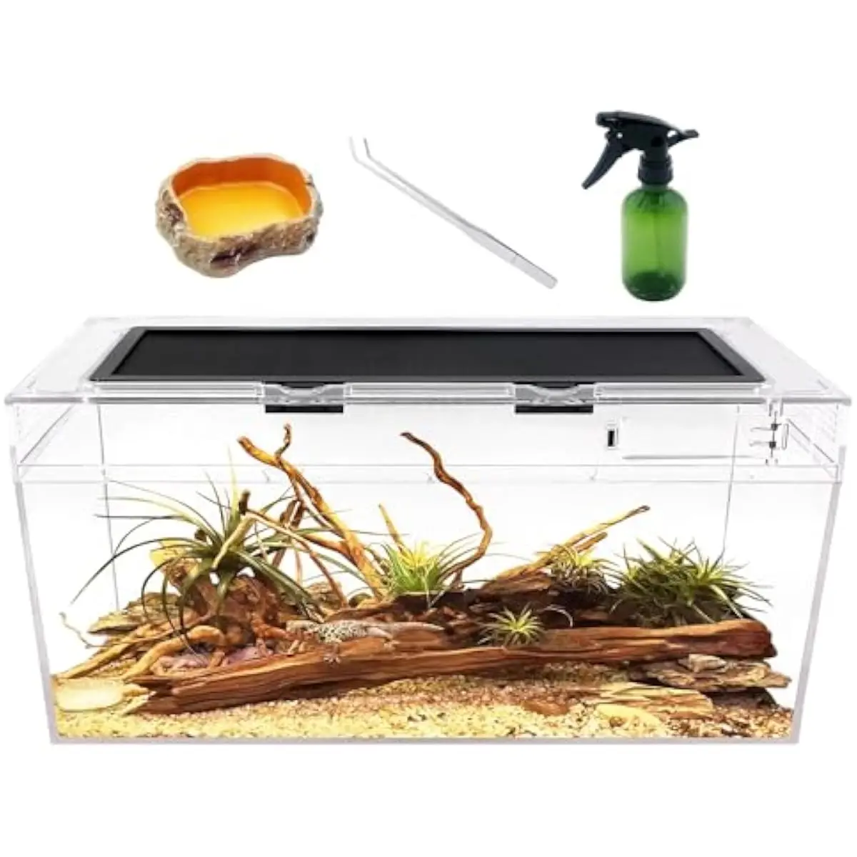 Reptile PC Terrarium Set, Reptile Tank 20' x 10'x 8',for Insect，Fish，Tarantula，Hermit Crab，Jumping Spider，Iguana，Tortoise，Leopar