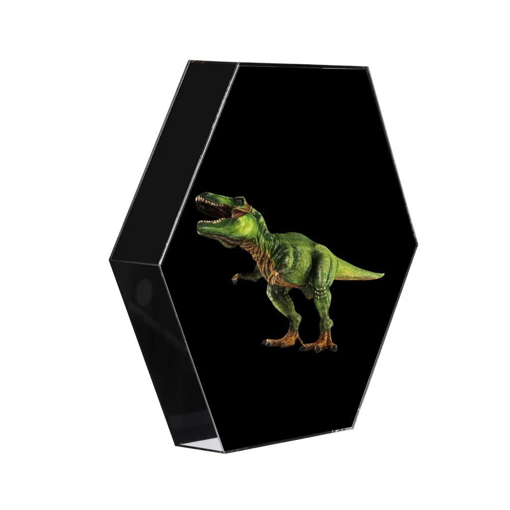 Hexagon 3D Holographic Projector Light WiFi/Plug-in Advertising Display Fan Imaging Lamp External BT Information Prompts