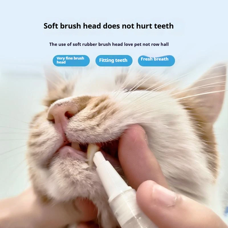 Haustier Zahnbürste Stift Zähne Reinigungs werkzeug frischer Atem Haustier Zahnbürste Zahnpasta All-in-One-Zahn reinigung für Hunde und Katzen