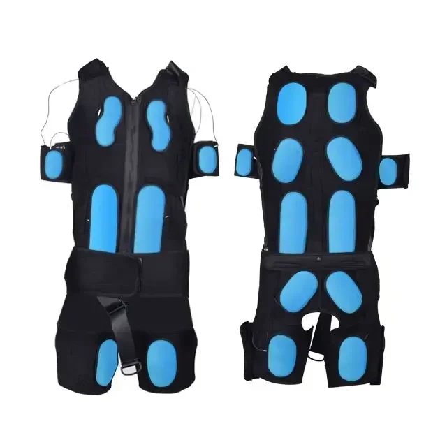 

Whole Body EMS Workout electrofitness smarter training for burning calories