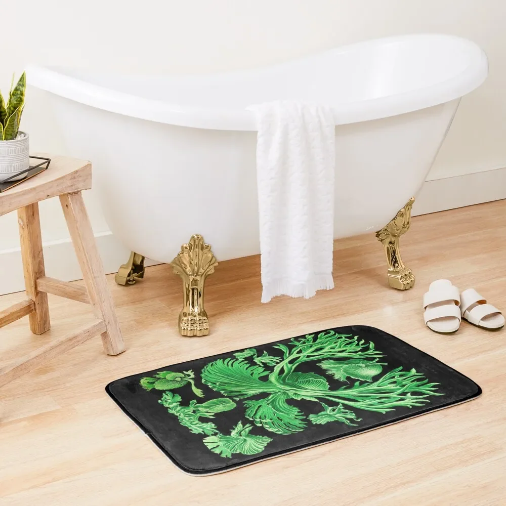 

Plate 52. Platycerium grande; the staghorn, or elkhorn, fern Bath Mat For Hallway On The Floor DoorEntrance Door Mat