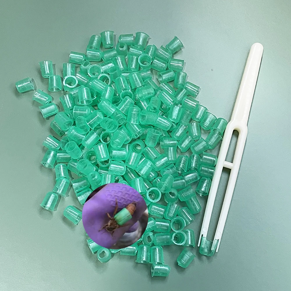 Anillo de Control de nacimiento Queen, dispositivo biológico, manga de plástico desechable con pinzas, no cría en invierno, herramientas de Apicultura