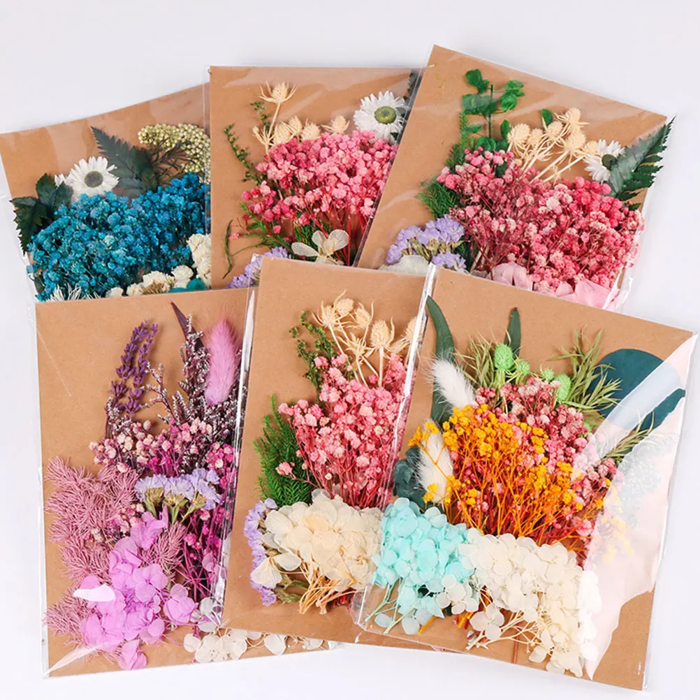 

Dried Flowers for Vase Material Package Pressed Craft Crafts Accessories Decoration Handmade Making Baby