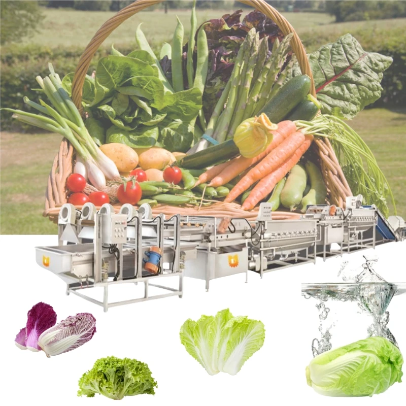

Whole Production Line of Fruit and Vegetables Cleaning Leafy Greens and Root Vegetables Washing Line