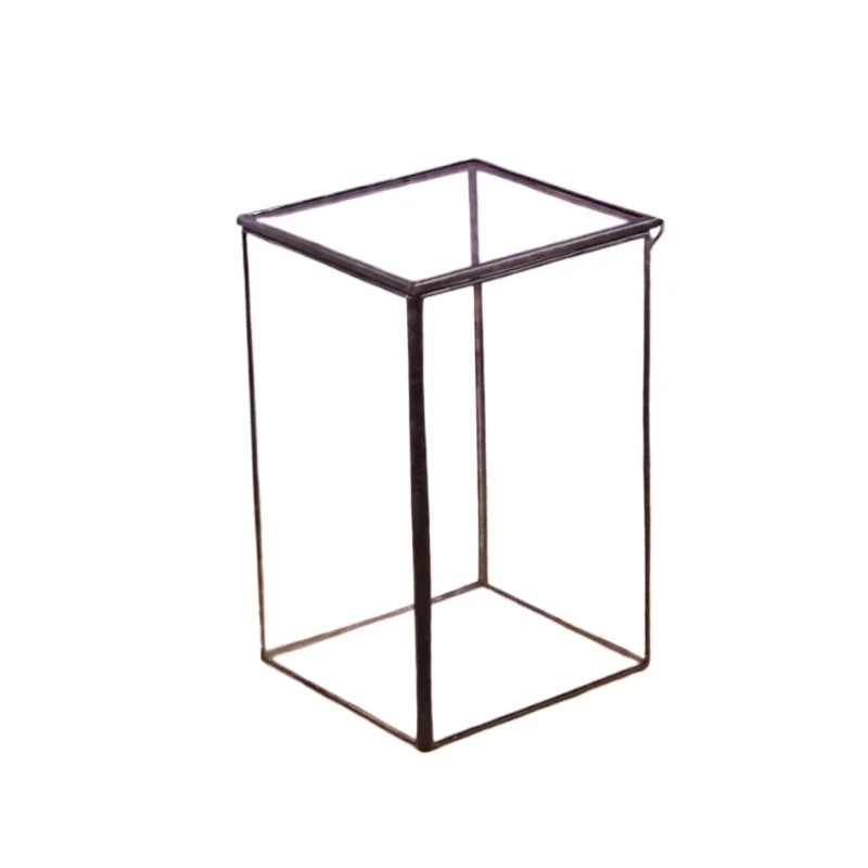 Terrarium de forêt tropicale Miniature, polyèdre trigonométrique en verre conservé, maison de fleurs, Pot de plantes créatif translucide