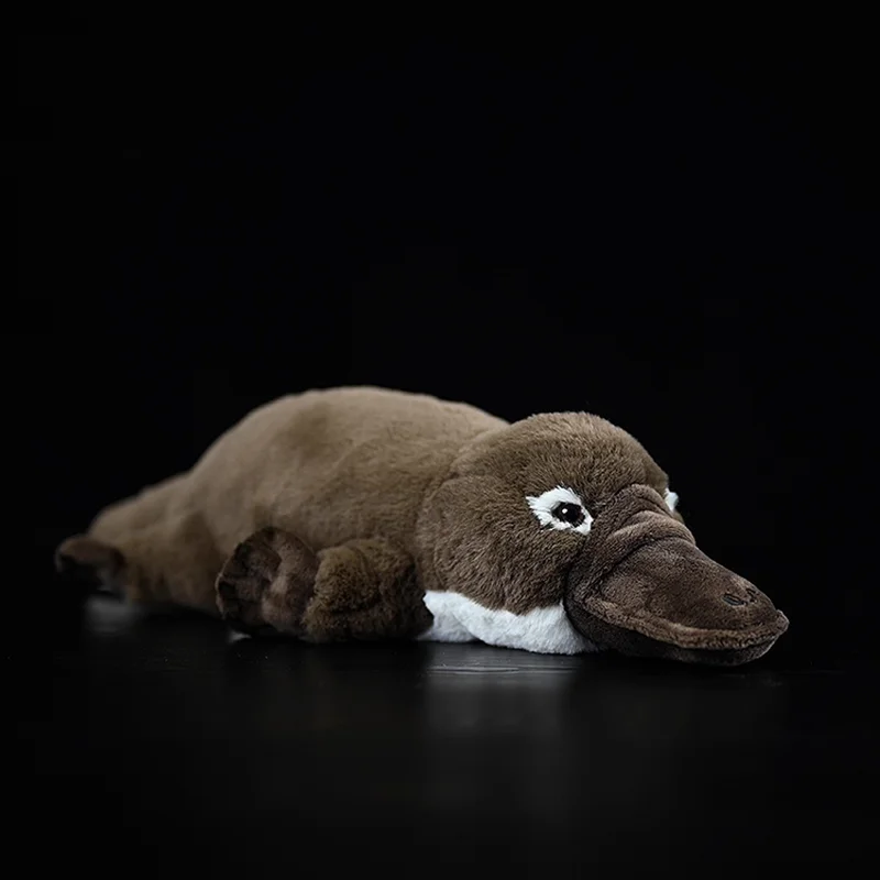 

43 см длинная плюшевая игрушка Platypus, мягкая плюшевая игрушка для рептилий, мягкие игрушки, куклы, развивающие подарки для мальчиков и девочек