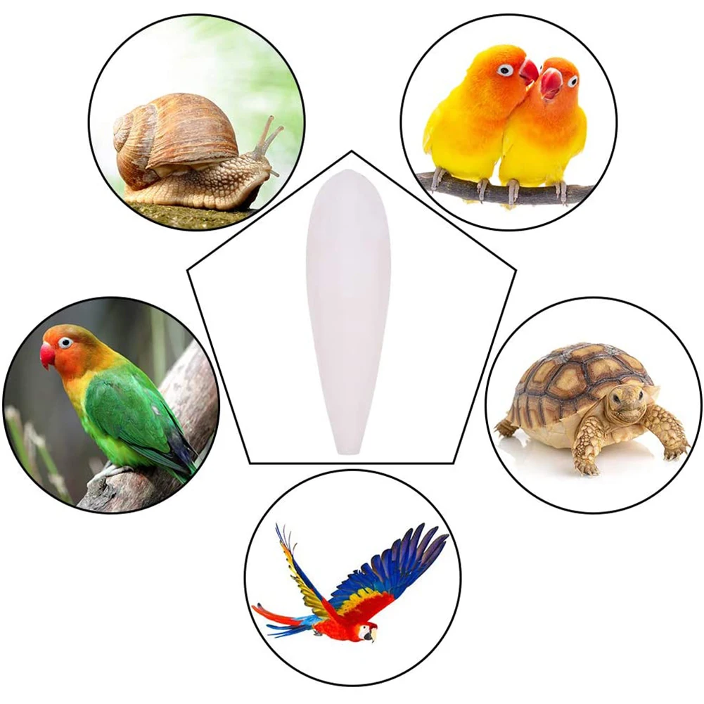 Cuttlefish Bone Bird Toys for Parrots Pets Perch Parakeet Cockatiel Cage Decoration Molar Supplies Parrot Toys