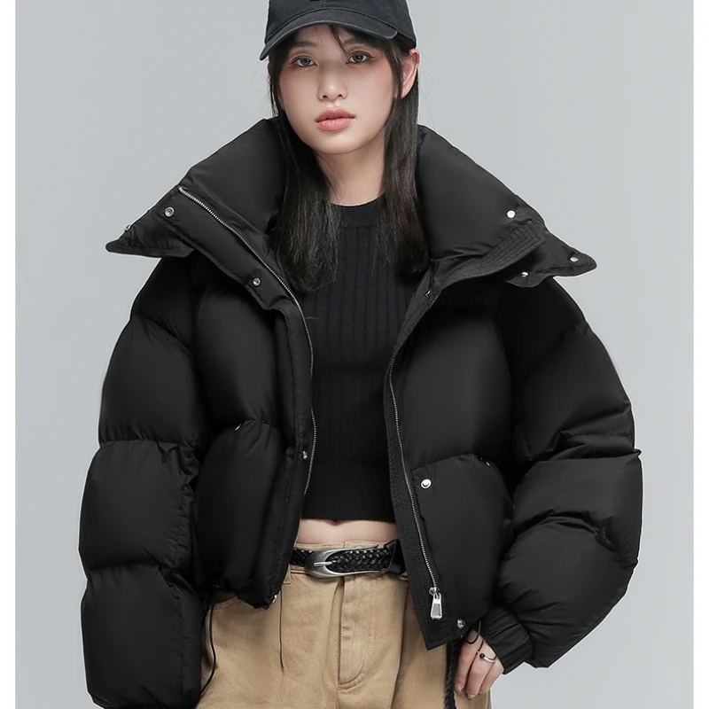 Fluffy Warm Hooded Jacket for Women, Stand-up Collar, Leisure Parka, Korean Department of Matching, New, 2024