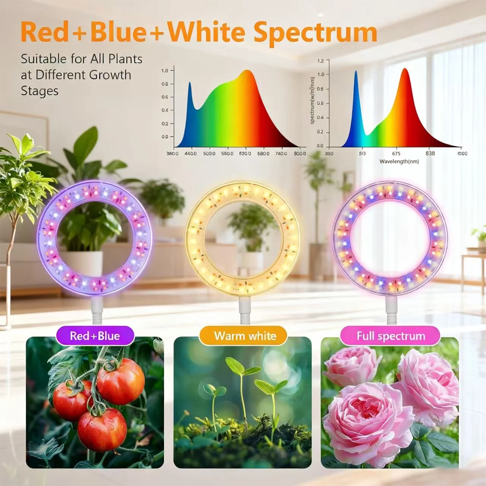 أضواء تنمو للنباتات الداخلية، 60 مصباح نباتي مكتبي كامل الطيف LED مع مؤقت لـ 3/9/12 ساعة، 10 مستويات قابلة للتعتيم، ارتفاع قابل للتعديل