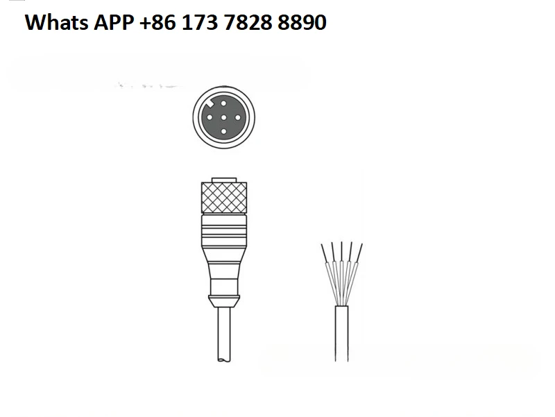 

50130688 KD U-M12-4W-V1-020 Аксессуары для датчиков Соединительный кабель LEUZE Spot