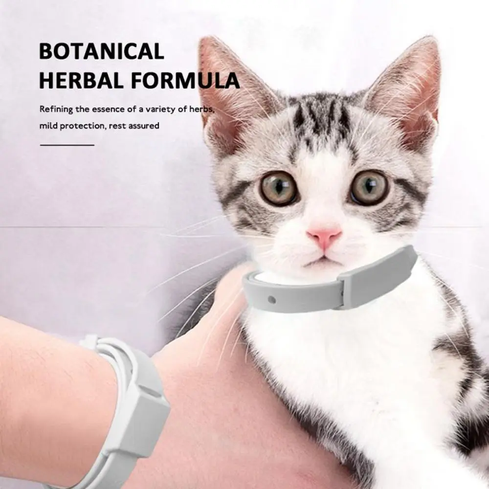 Retractable Cute Anti Flea Anti Mosquitoes Silicone for Cat Dog Flea Collar Dog Cat Collar Dog Flea Repeller Puppy Collar