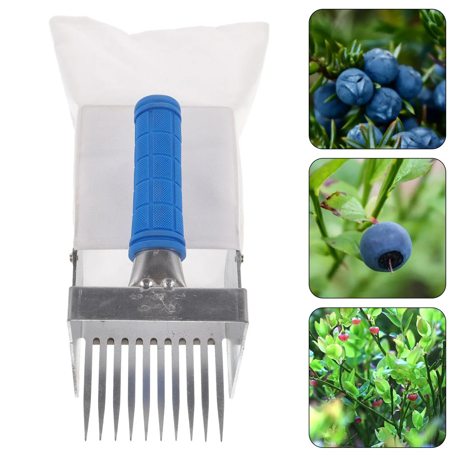 

Blueberry Picker Scoop Rake for Home Garden Blueberry Picker Tool Efficient Gentle Fruit Collection for Blueberries