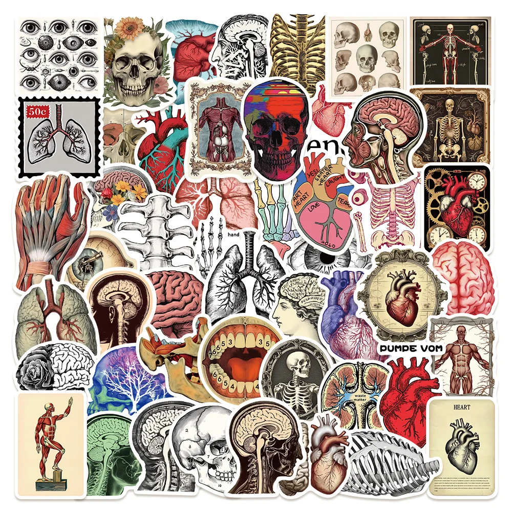 50 Stück Retro Wissenschaftliche Anatomie-Aufkleber Cartoon Menschliche Organe Sticker für Handyhülle Laptop Notizbuch Koffer Skateboard