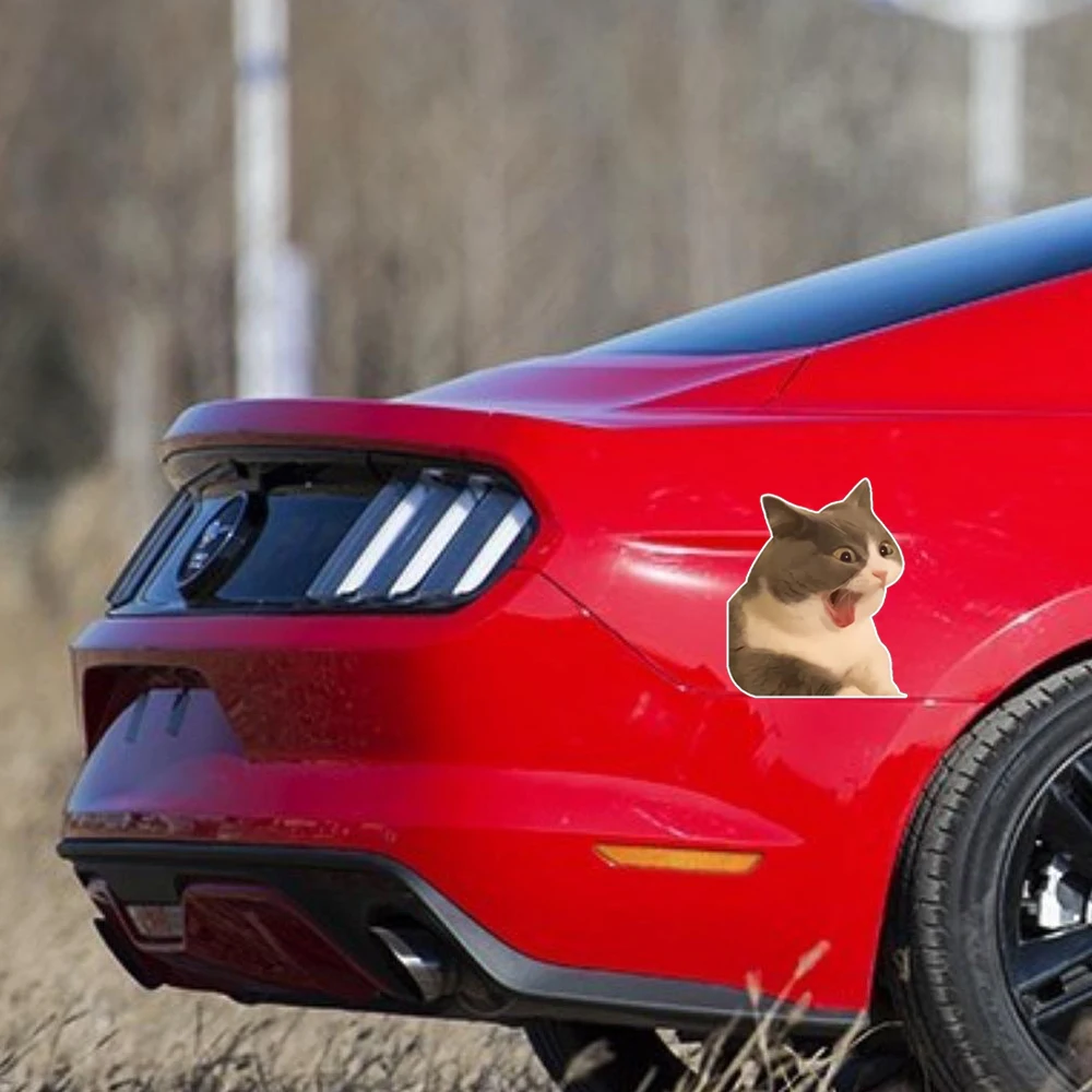 1 Stück süße Katze Emoji Aufkleber-Spaß und süße Dekoration für Autos, Laptops, Wasser flaschen und langlebiger, einfach zu bedienen